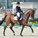 Don Johnson FRH - Don Johnson & Isabell Werth - CH-EU-D Aachen 2015<br />&copy; www.horsemagazine.com