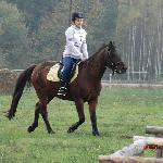 Liwocz - Zawody T.R.E.C Dzikowiec<br />&copy; Magdalena Smolak