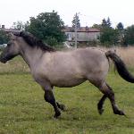 Balbina