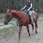 Hawrań (Kostek)