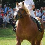 Aramis