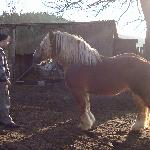 Aramis