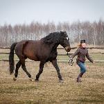Timur - Timur 2014<br />&copy; Magda Senderowska