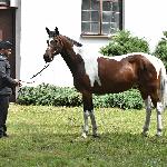Heloiza - SK Janów Podlaski wiosną 2026<br />&copy; A.Borysiuk