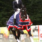 Prowokator - Prowokatr, MPMK 2016<br />&copy; faraa (c) Mazurek-Konie
