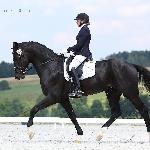Prowokator - Prowokator i Karolina Mazurek, Rybnica<br />&copy; faraa (c) Mazurek-Konie