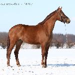 Saphora - Saphora<br />&copy; faraa (c) Mazurek-Konie