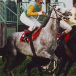 Rawajak - Rawajak (am. pr. dż. Katarzyna Szymczuk)- Derby 1996<br />&copy; Fot. Adrianna Buks.