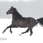 Farina<br />&copy; Katarzyna Broda
