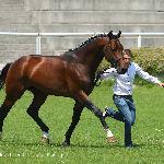 Cardamon - http://kalinka.webd.pl<br />&copy; Karolina Wengerek