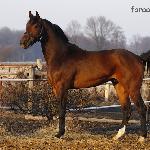 Cardamon - Cardamon, Panków<br />&copy; faraa (c) Mazurek-Konie