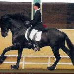 Wibe 402 ex Ynse fan Ferwalde