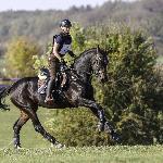 Empatia - Strzegom October Festival 2018<br />&copy; Mazurek-Konie