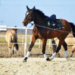 Wengrand - Wengrand