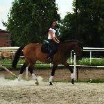 Wengrand