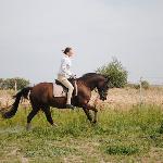 Kelpie - kelpie<br />&copy; własne<br /><i>aktualne zdjęcie</i>