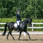 Kelpie - eliminacje do OOM w ujeżdżeniu 2019 rok