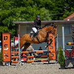 Antwerpia - ZR-Kobylarnia