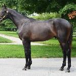 Cozmic One