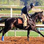 Cozmic One