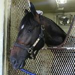 Cozmic One