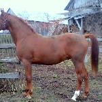 Krater - Krater<br />&copy; JO