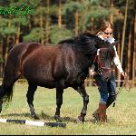 Oliwka<br />&copy; Paulina Peckiel www.peckiel.pl