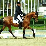 Walentino J (Valentino J)<br />&copy; Katarzyna Boryna<br /><i>CNC L, Sopot, 27-29.04.2012</i>