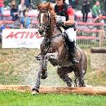 Grand Supreme<br />&copy; Katarzyna Boryna EQ PhotoGallery