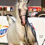 Barok<br />&copy; Justyna Reda