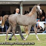Anima - Anima 2012<br />&copy; Irina Filsinger