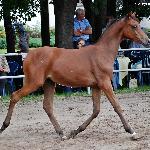 Zadora - sierpień 2011<br />&copy; Anna Pyzara-Nakoniechnaia