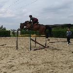 Bonus Melior Optimus