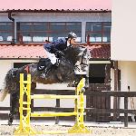 Capriccio - ZR-B Połchowo 2014<br />&copy; Baza Koni