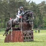 Lassban Radovix<br />&copy; M&R Photo<br /><i>fb Equestrian Festival Baborówko</i>