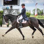 Lassban Radovix<br />&copy; Alicja Cybulska<br /><i>fb Equestrian Festival Baborówko</i>