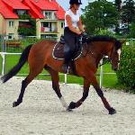 Hagiria