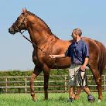 Halling