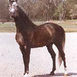 El Borr