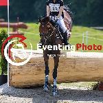 Jarema - SHT 2015<br />&copy; Eventing photo