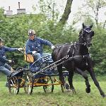 Onbekend - ZK-D Bogusławice 2013<br />&copy; Ania Wiśniewska