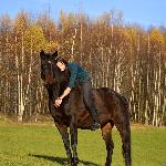Gratka - 17.11.2013