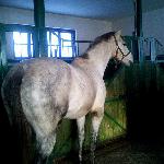 Monsun-Bianco - Bianco - Monsun<br />&copy; Katarzyna Kozieł