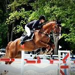 Pierot - 2014 r<br />&copy; bazakoni.pl