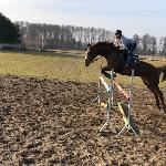 Zitta