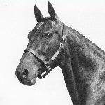 Rodney - Rodney<br />&copy; The Harness Horse 1961