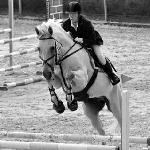 Lechita