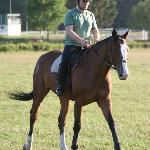 Raca II<br /><i>Hipodrom Racot, czerwiec 2014</i>