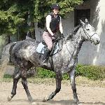 Gigi<br /><i>SK Racot, kwiecień 2015</i>