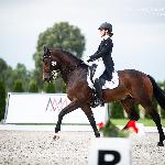 Sternik<br />&copy; Julia Świętochowska<br /><i>fb dressage24.pl</i>